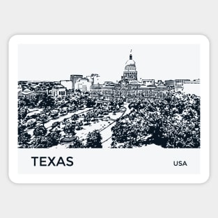 Texas State USA Sticker